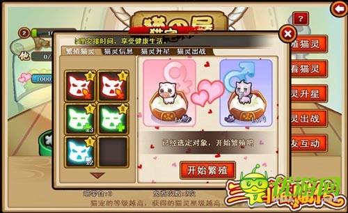 混乱的闹猫季 《三国喵喵传》猫宠暴动